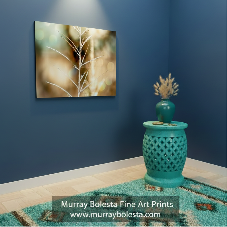 Frost on grass art by Murray Bolesta