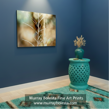Frost on grass art by Murray Bolesta