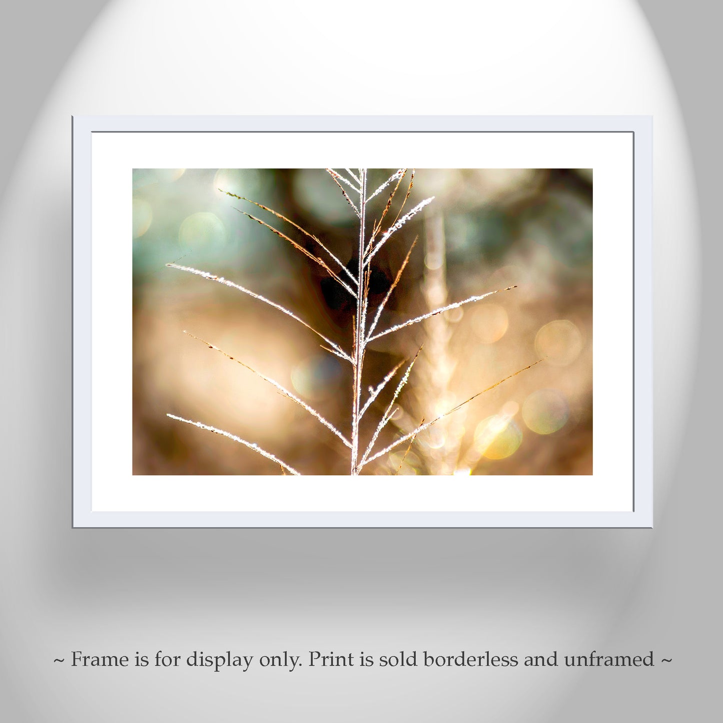 Golden Grass & Winter Frost | Minimalist Nature Photography