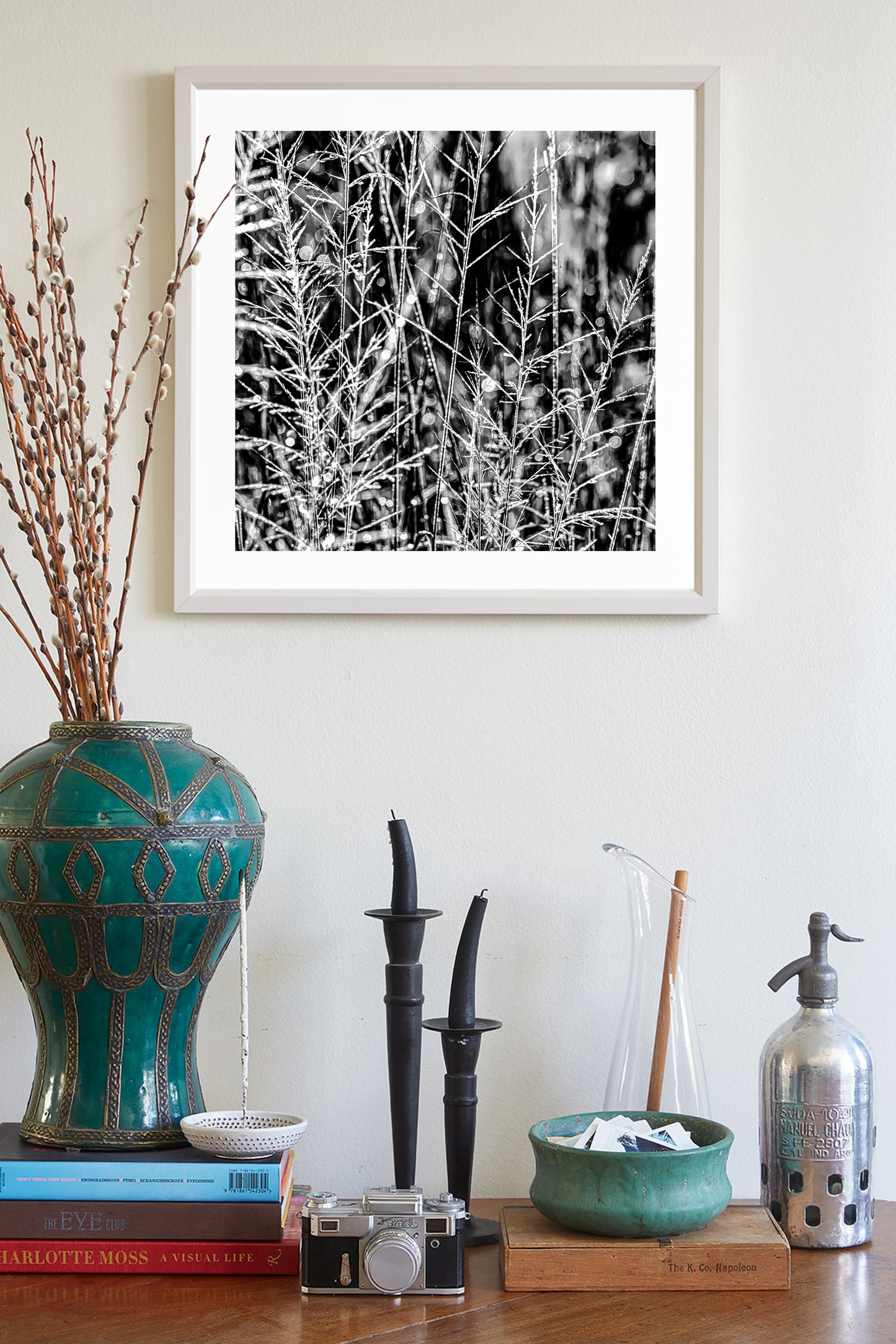 Black and White Nature Photography with Winter Frost at Southern AZ