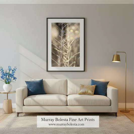 Close-up of a plant with a blurred bokeh background. Abstract Nature Wall Art with Golden Winter Frost | Arivaca Cienega Arizona by Murray Bolesta