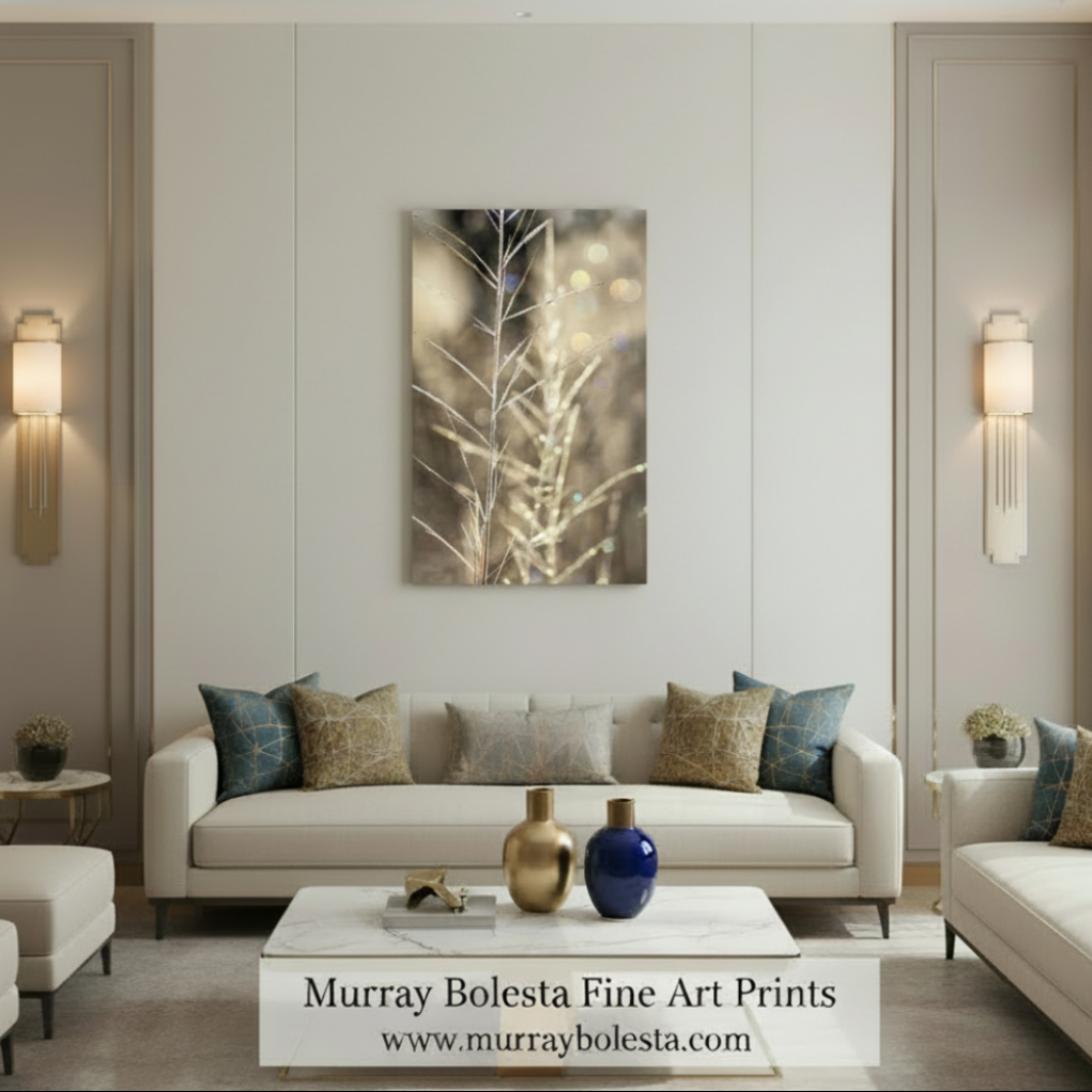 Close-up of a plant with a blurred bokeh background. Abstract Nature Wall Art with Golden Winter Frost | Arivaca Cienega Arizona by Murray Bolesta