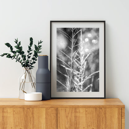 Black and White Minimalist Nature Wall Print with Winter Frost