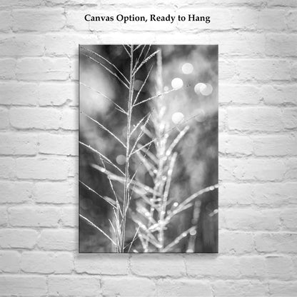 Black and White Minimalist Nature Wall Print with Winter Frost