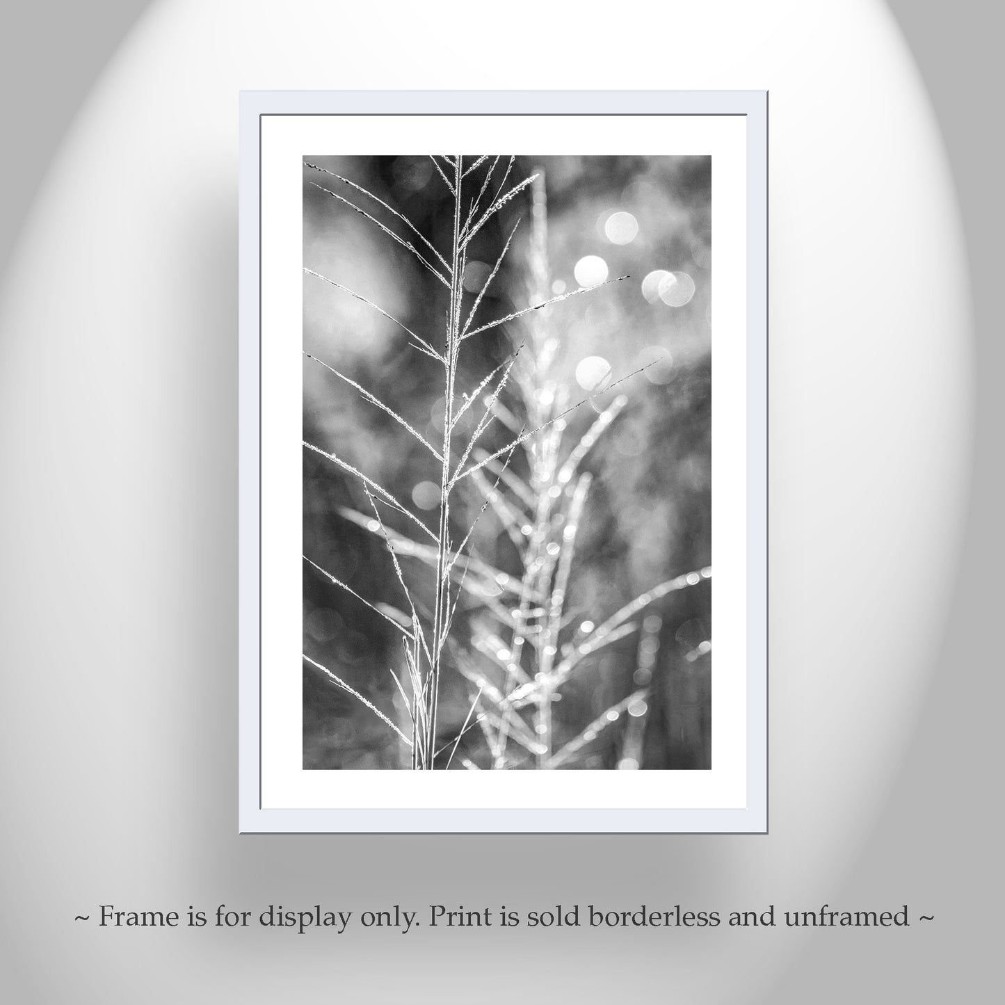 Black and White Minimalist Nature Wall Print with Winter Frost