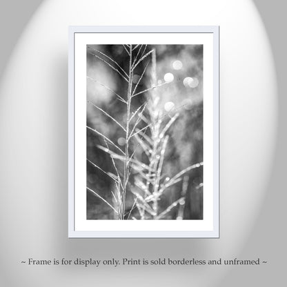 Black and White Minimalist Nature Wall Print with Winter Frost