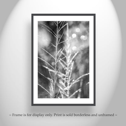 Black and White Minimalist Nature Wall Print with Winter Frost
