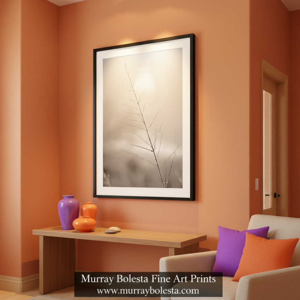 Winter Frost on Grass – Black & White Arizona Nature Print