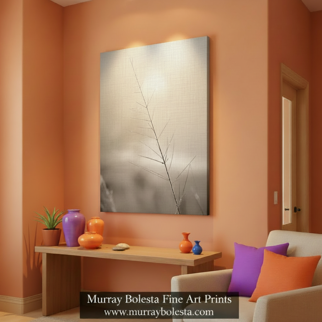 Winter Frost on Grass – Black & White Arizona Nature Print