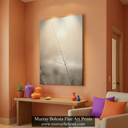 Winter Frost on Grass – Black & White Arizona Nature Print