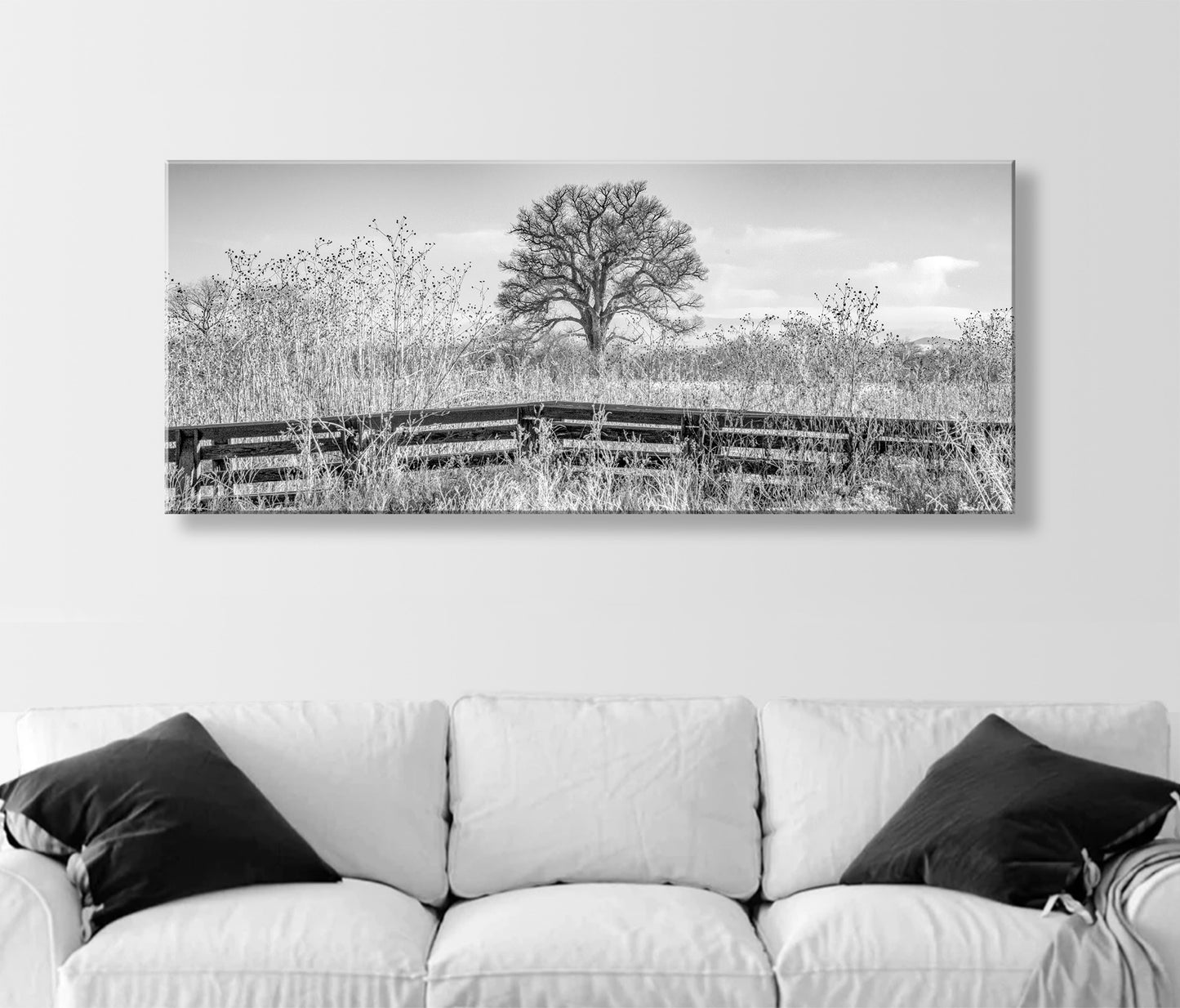 Cottonwood Tree Panoramic Art in Black & White with Winter Frost on Nature Trail