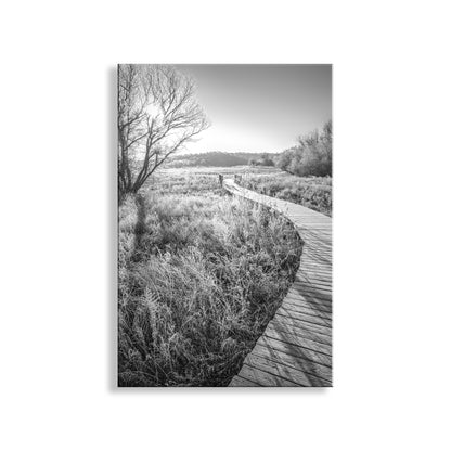 Black and white photo of a wooden path through a field with trees. Fine Art Surreal Print with Frosty Winter Landscape and Boardwalk