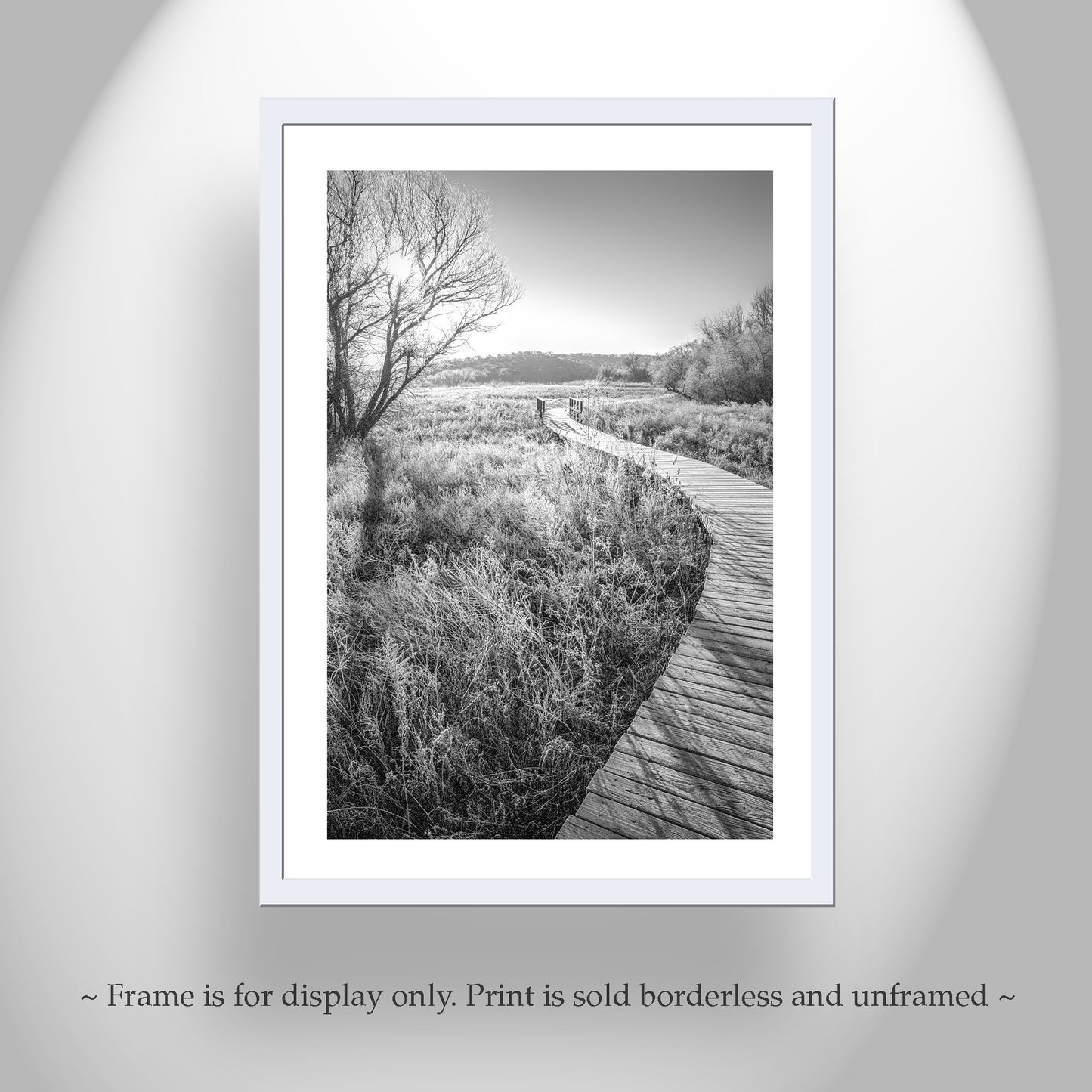 Black and White Boardwalk Print | Arivaca Arizona Surreal Artwork