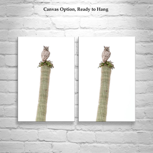 Great Horned Owl Bird Art with Desert Cactus | Set of 2 Diptych Prints