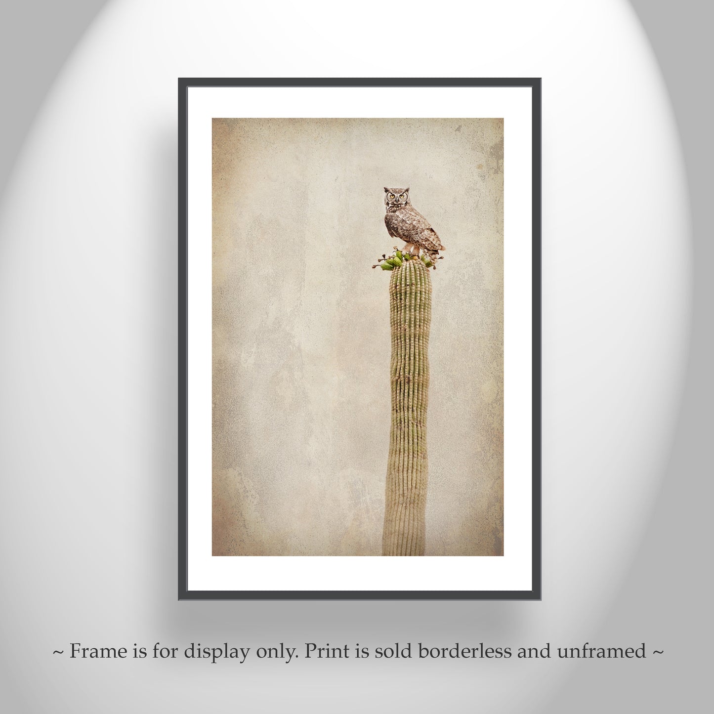 Vintage Desert Owl on Cactus - Great Horned Owl Sepia Wall Art