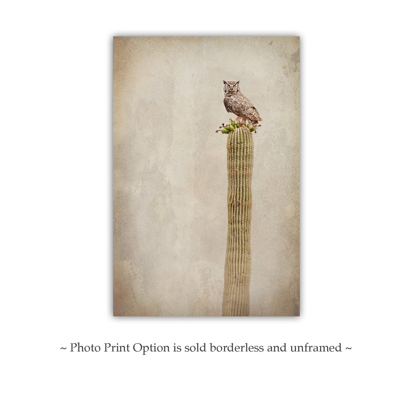 Vintage Desert Owl on Cactus - Great Horned Owl Sepia Wall Art