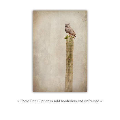 Vintage Desert Owl on Cactus - Great Horned Owl Sepia Wall Art