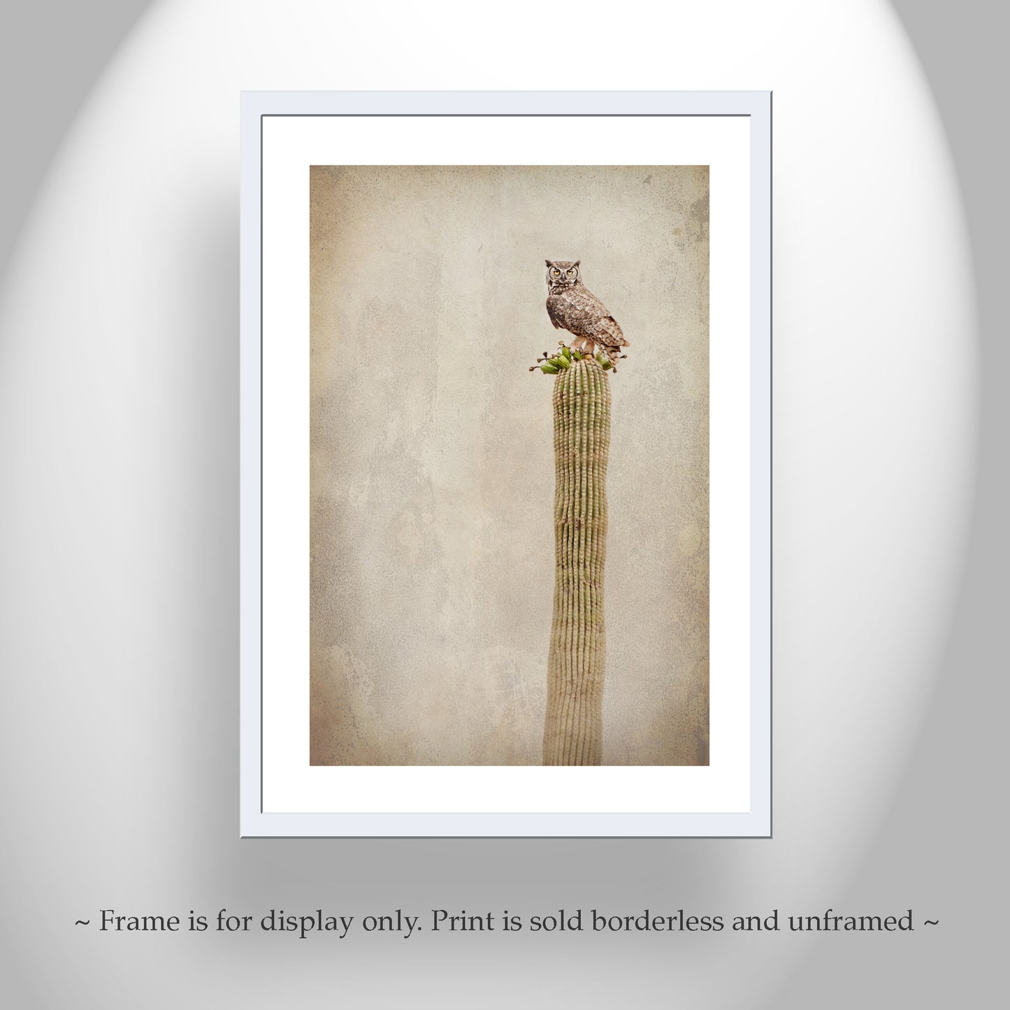 Vintage Desert Owl on Cactus - Great Horned Owl Sepia Wall Art