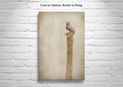 Vintage Desert Owl on Cactus - Great Horned Owl Sepia Wall Art