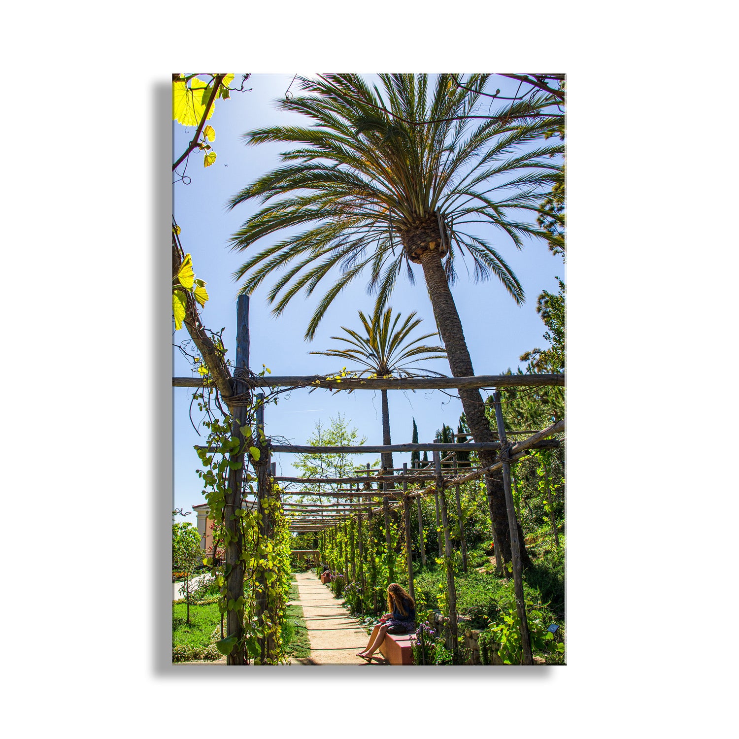 Getty Villa Museum Art Print | Pacific Palisades Malibu California