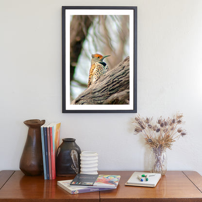 Flicker Bird Wall Art in Woodlands Avian Nature Art