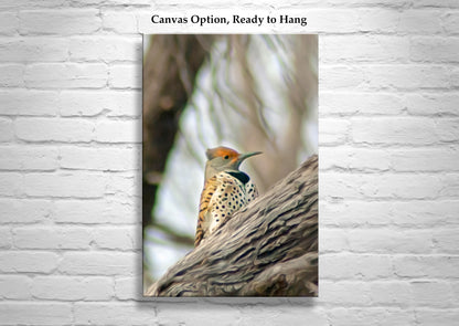 Flicker Bird Wall Art in Woodlands Avian Nature Art