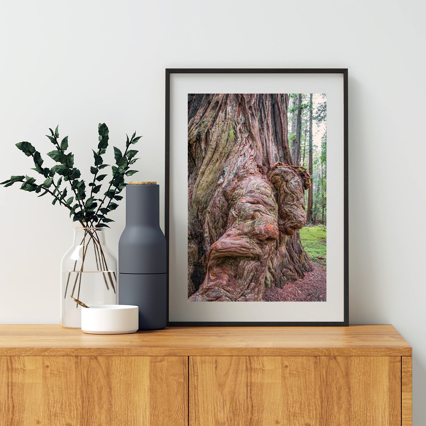 Redwood Forest Art Print in Northern California as Gift for Nature Lover