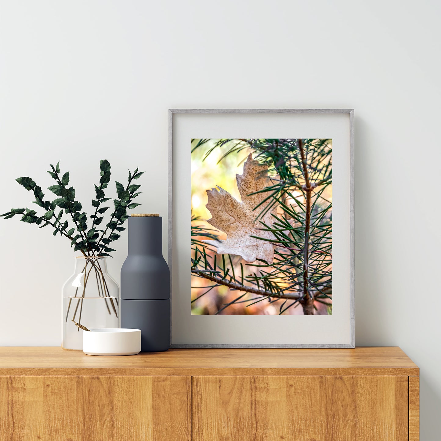Autumn Leaf & Evergreen Forest Arizona Mountains Fine Art Print