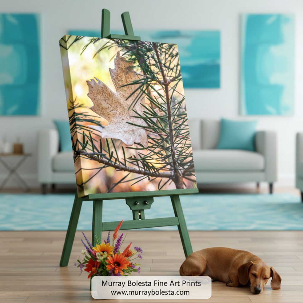 Dry leaf on a branch with a blurred natural background. Autumn Leaf and Evergreen Forest Nature Photography in Arizona Mountains by Murray Bolestsa