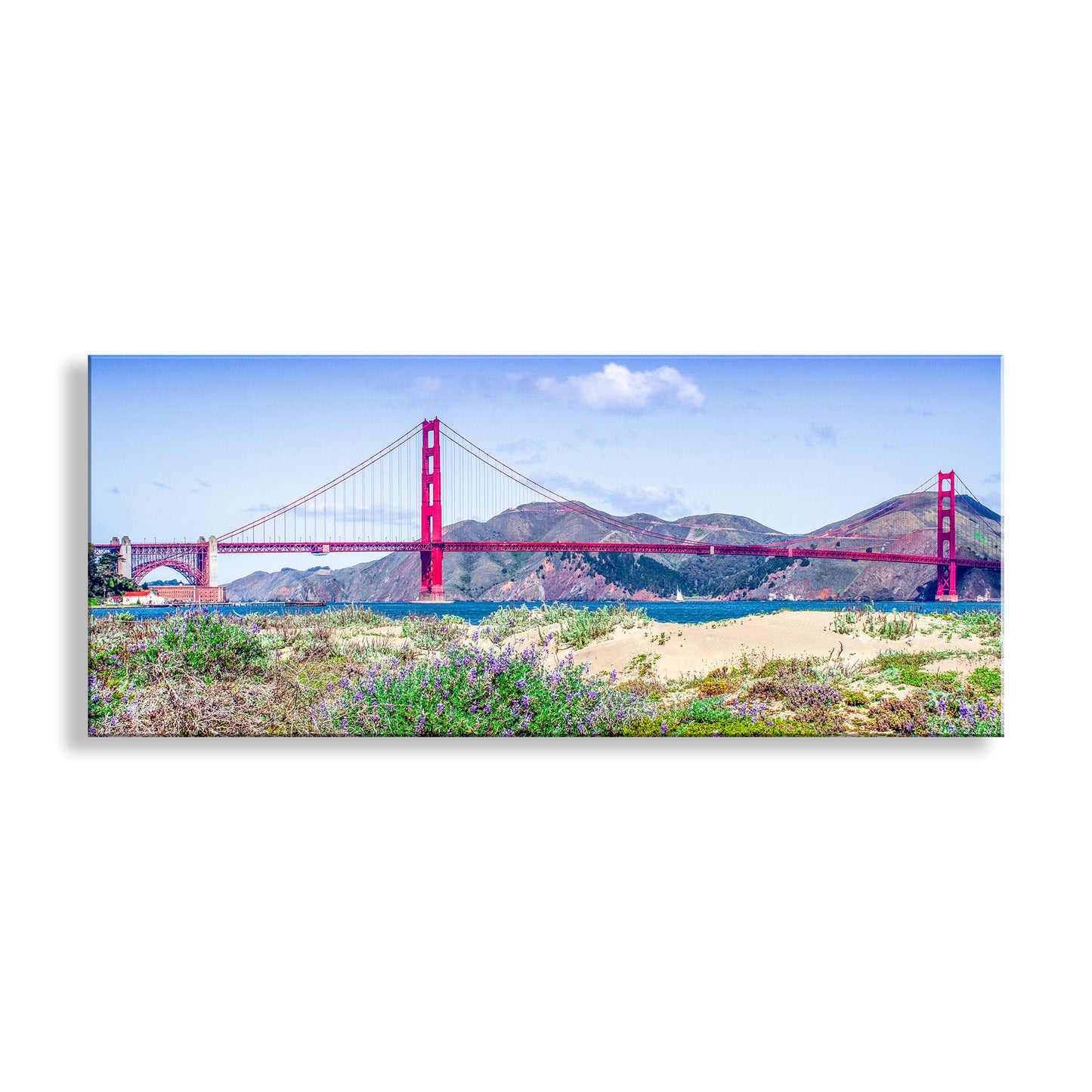 Panoramic view of the Golden Gate Bridge with mountains and water in the background.
My precious Presidio wildflower and sand dune panoramic art print at San Francisco California! The mighty Golden Gate lies beyond this rare remnant of the original landscape which long ago covered much of the San Francisco peninsula. Major restoration of nature is one of the great benefits of the new Presidio National Park. Original, unique signed art by Murray Bolesta!