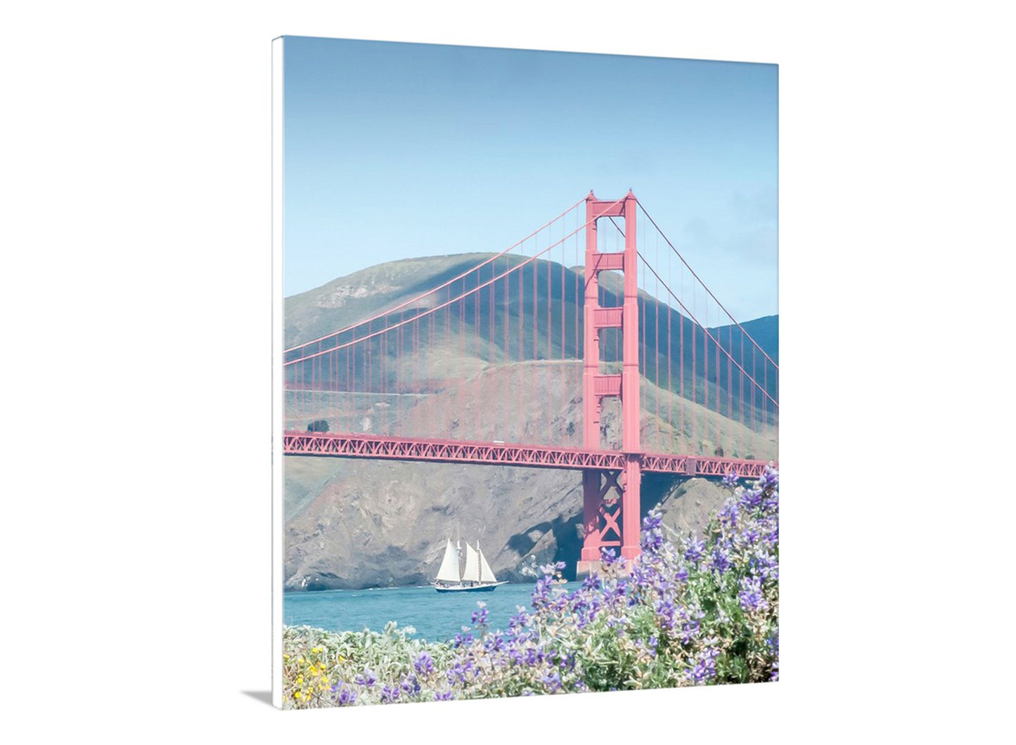 The Golden Gate Bridge with a sailboat in the foreground and purple flowers at the base. Marin County Presidio Golden Gate Bridge Sailboat & Wildflowers