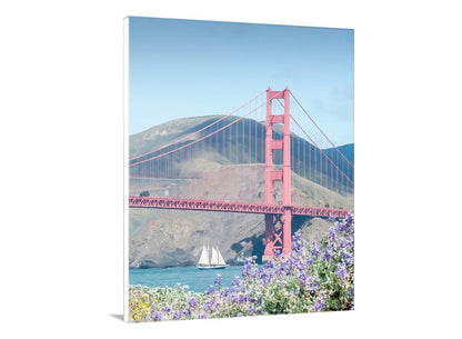 The Golden Gate Bridge with a sailboat in the foreground and purple flowers at the base. Marin County Presidio Golden Gate Bridge Sailboat & Wildflowers