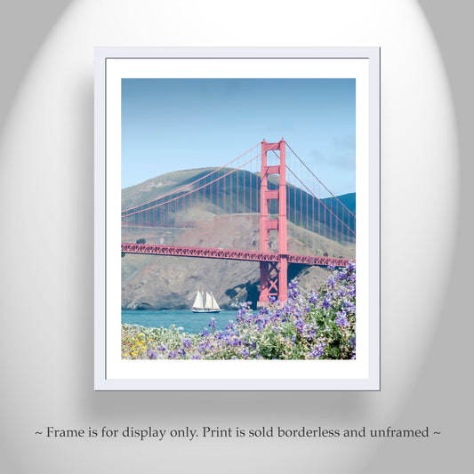 Marin County Presidio Golden Gate Bridge Sailboat & Wildflowers