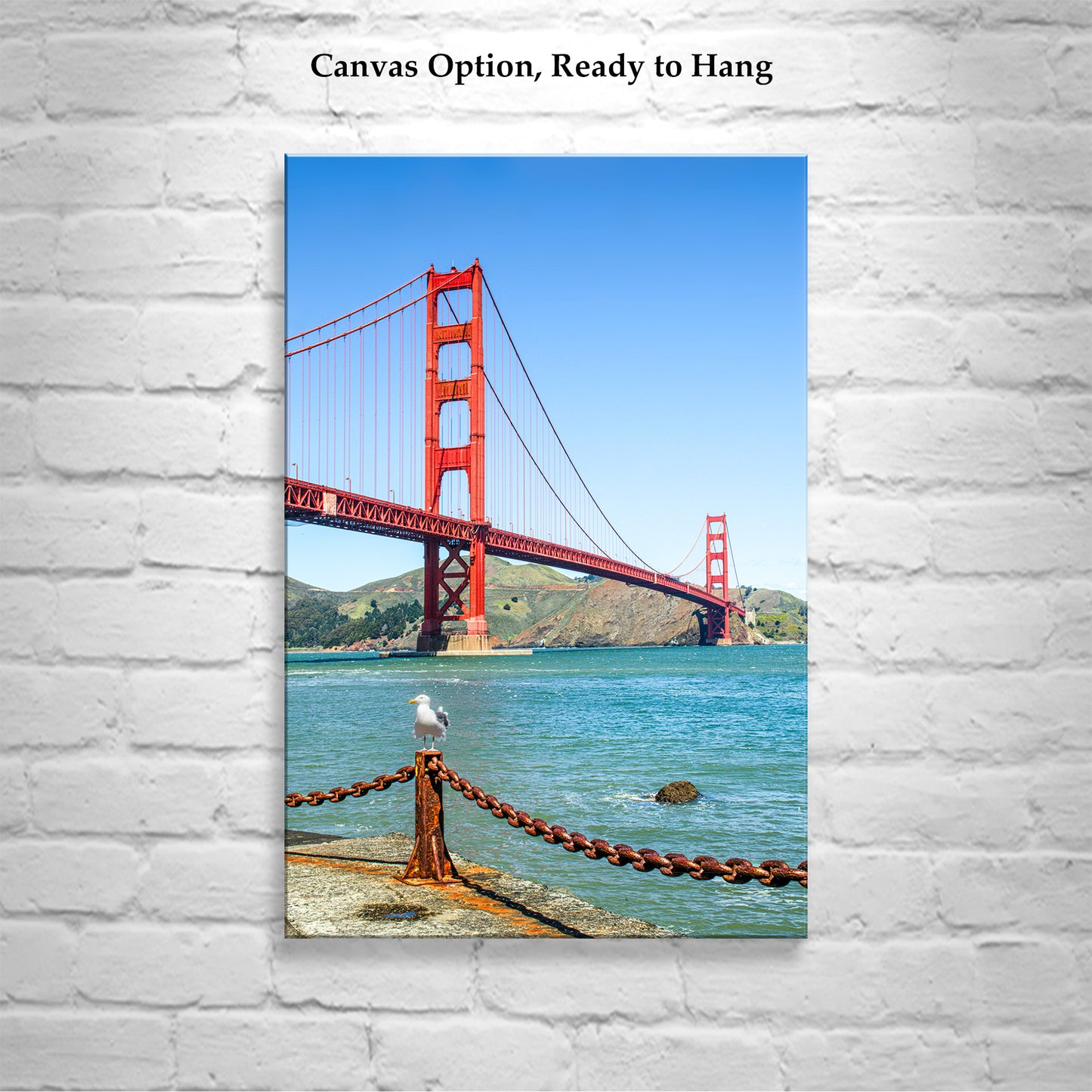 Golden Gate Bridge Art Print at Presidio National Park with Seagull Bird