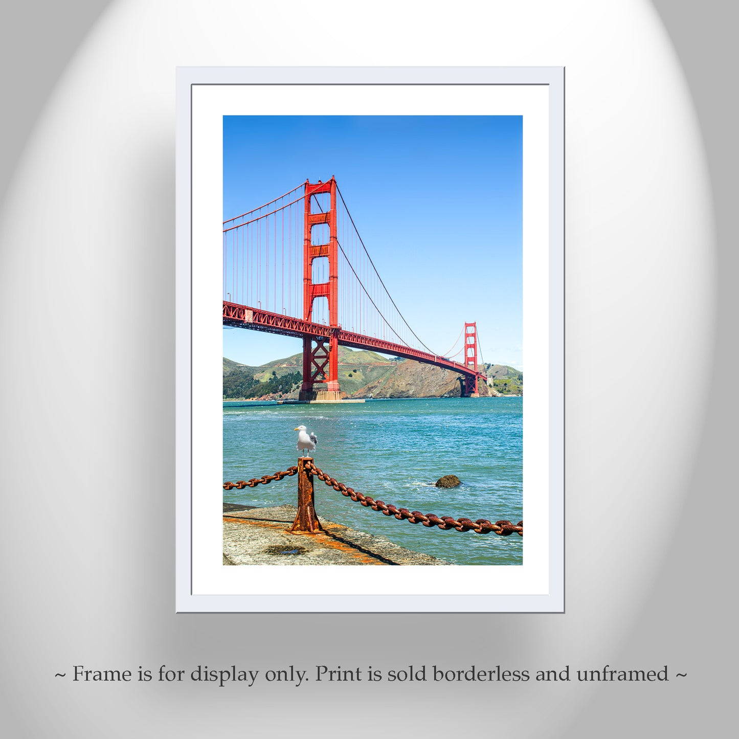 Golden Gate Bridge Art Print at Presidio National Park with Seagull Bird