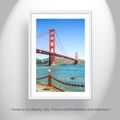 Golden Gate Bridge Art Print at Presidio National Park with Seagull Bird