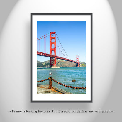 Golden Gate Bridge Art Print at Presidio National Park with Seagull Bird