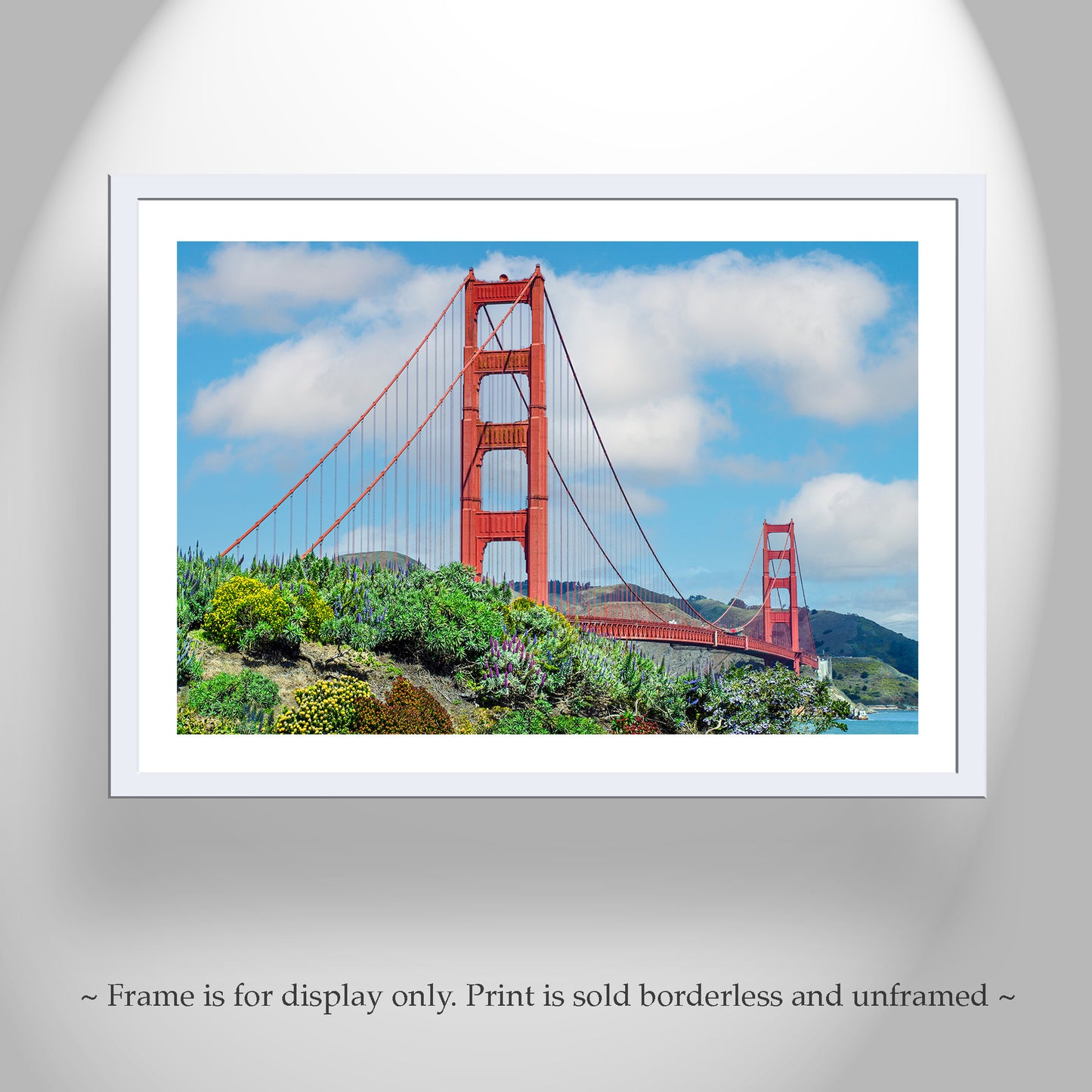 Golden Gate Bridge San Francisco Wall Art with Coastal Wildflowers