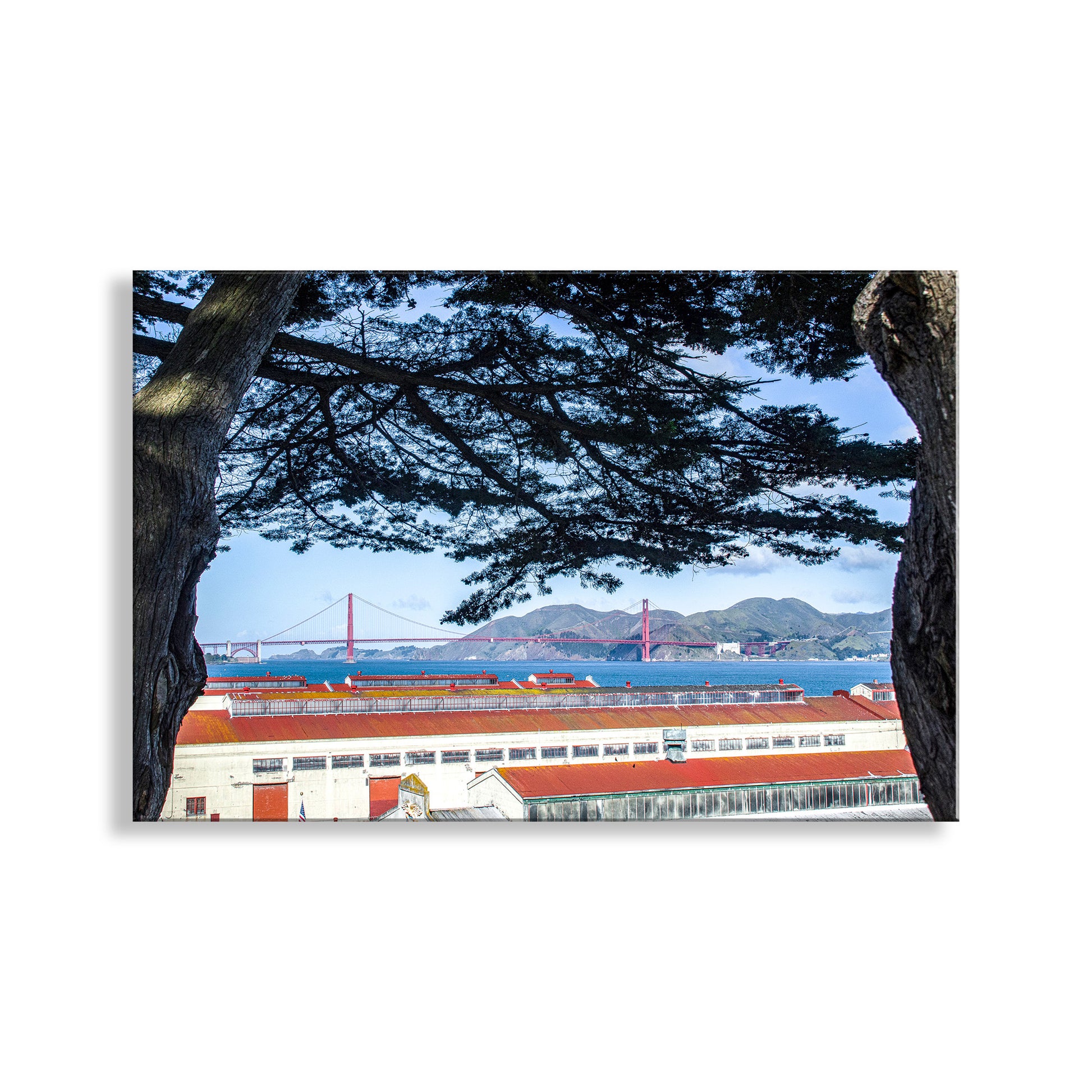 Train passing by a scenic view with a bridge and mountains in the background, framed by tree branches. My splendid San Francisco photograph at Fort Mason! Framing the scene are magnificent Monterey cypress trees. Part of today's Golden Gate National Recreation Area, Fort Mason began as a coastal defense site and continued its military role through the years after World War II. Today it functions as a precious park of historical significance on a splendid section of the San Francisco Peninsula for the Americ