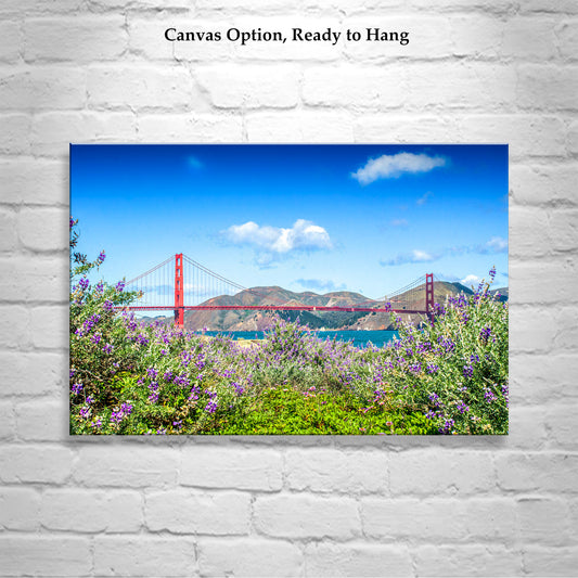 Bay Area Landscape Photography with Presidio Dune Wildflower & Golden Gate Bridge