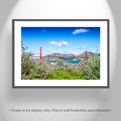 Bay Area Landscape Photography with Presidio Dune Wildflower & Golden Gate Bridge