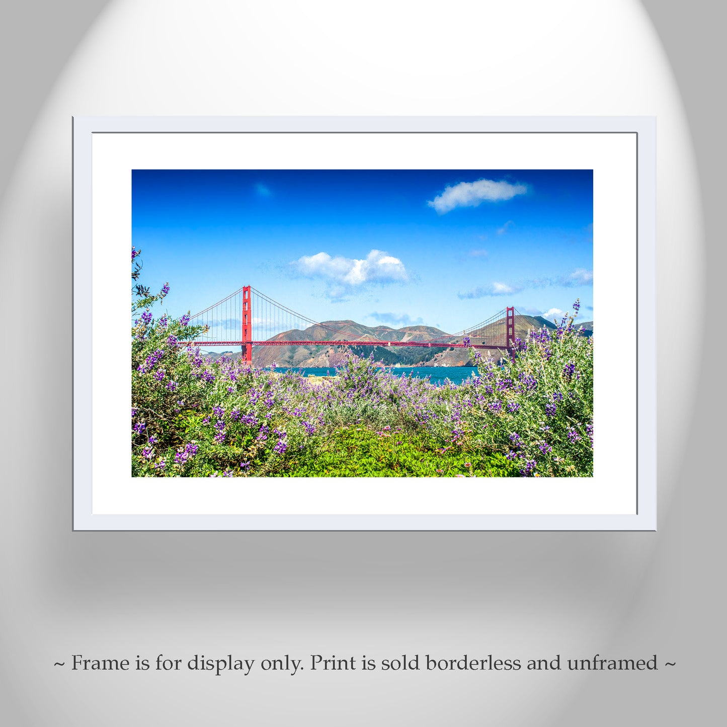 Bay Area Landscape Photography with Presidio Dune Wildflower & Golden Gate Bridge