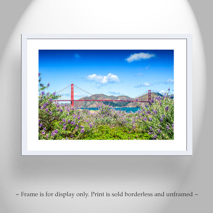 Bay Area Landscape Photography with Presidio Dune Wildflower & Golden Gate Bridge