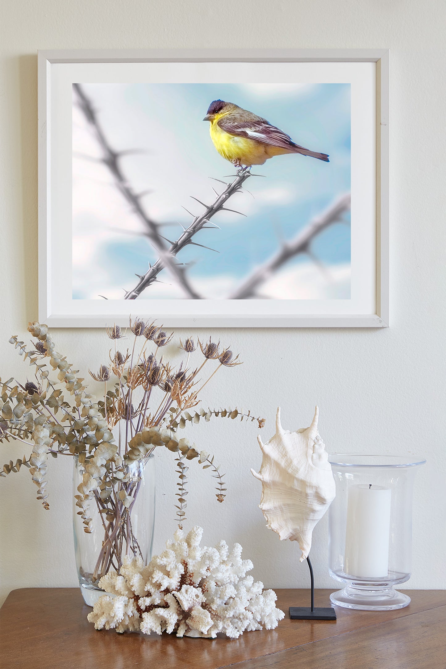 Goldfinch Bird Art with Desert Ocotillo as Western Bird Wall Decor