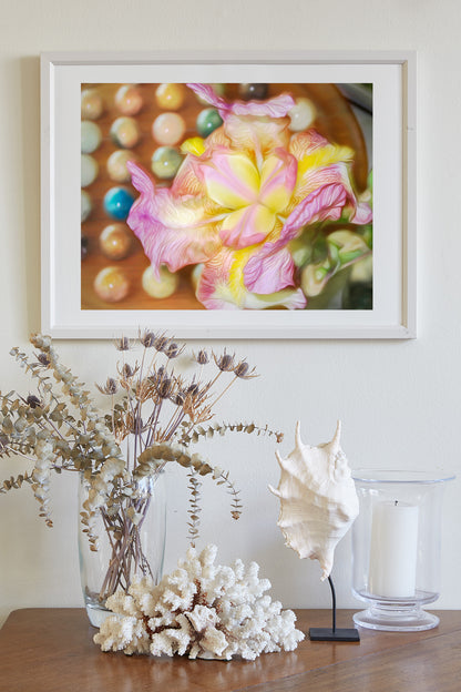Iris Flower Photograph Whimsical Psychedelic Wall Decor
