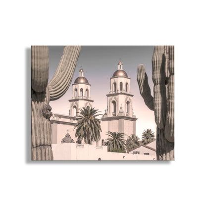 Tucson Arizona Saint Augustine Cathedral and Cactus Art Print
