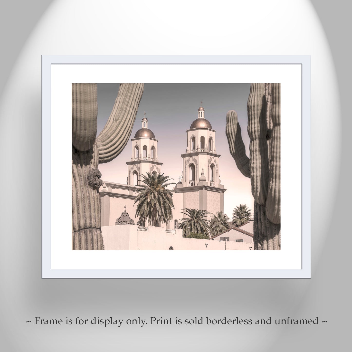 Tucson Arizona Saint Augustine Cathedral and Cactus Art Print