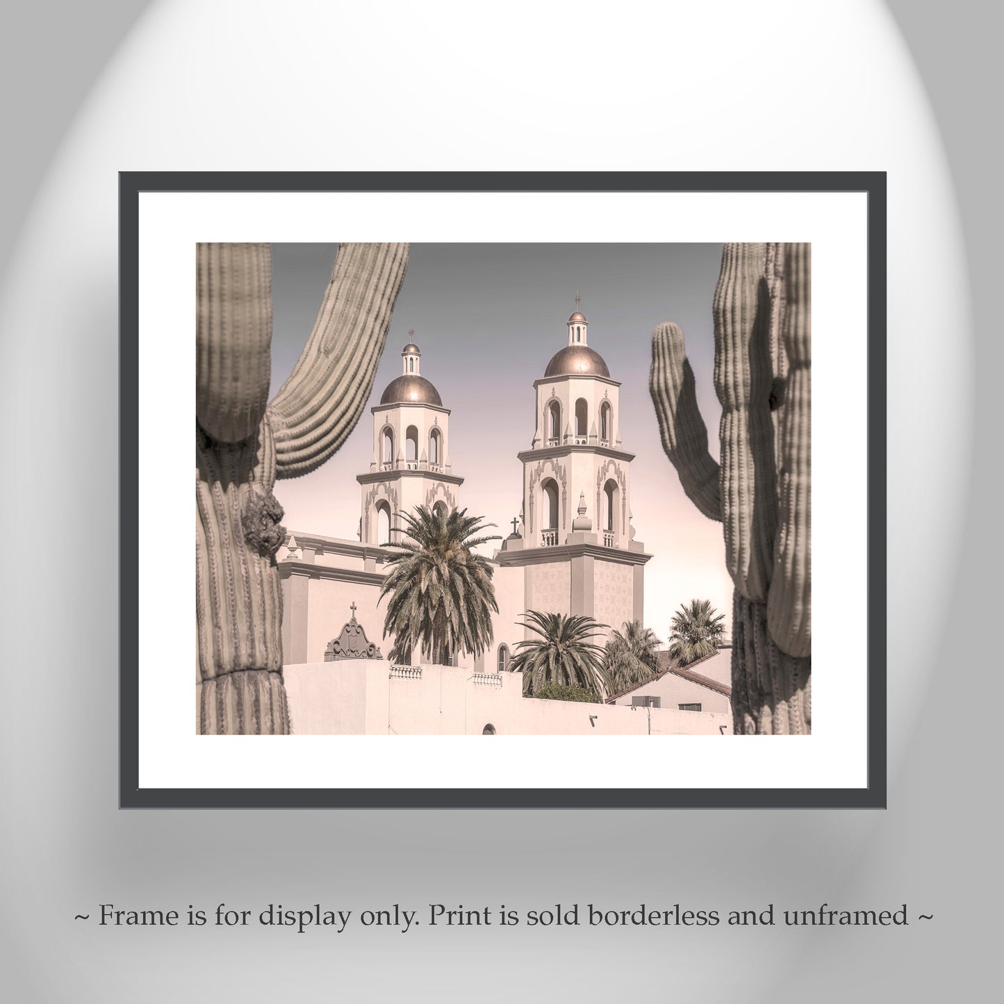 Tucson Arizona Saint Augustine Cathedral and Cactus Art Print