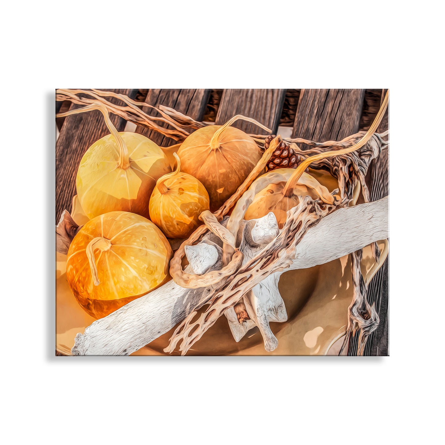 Decorative arrangement of gourds and twigs on a wooden surface. Still Life Art Print with Gourds in Southwestern Style Tucson Arizona