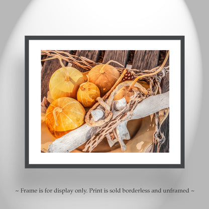 Still Life Art Print with Gourds in Southwestern Style | Tucson AZ